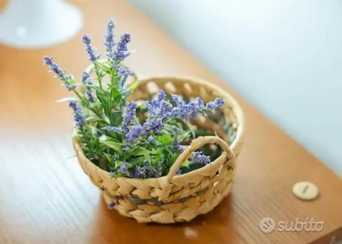 Ballar'home - Casa Sbriju' *